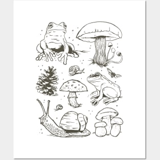 Cottagecore Aesthetic Mushrooms and Frog Hand Drawn Posters and Art